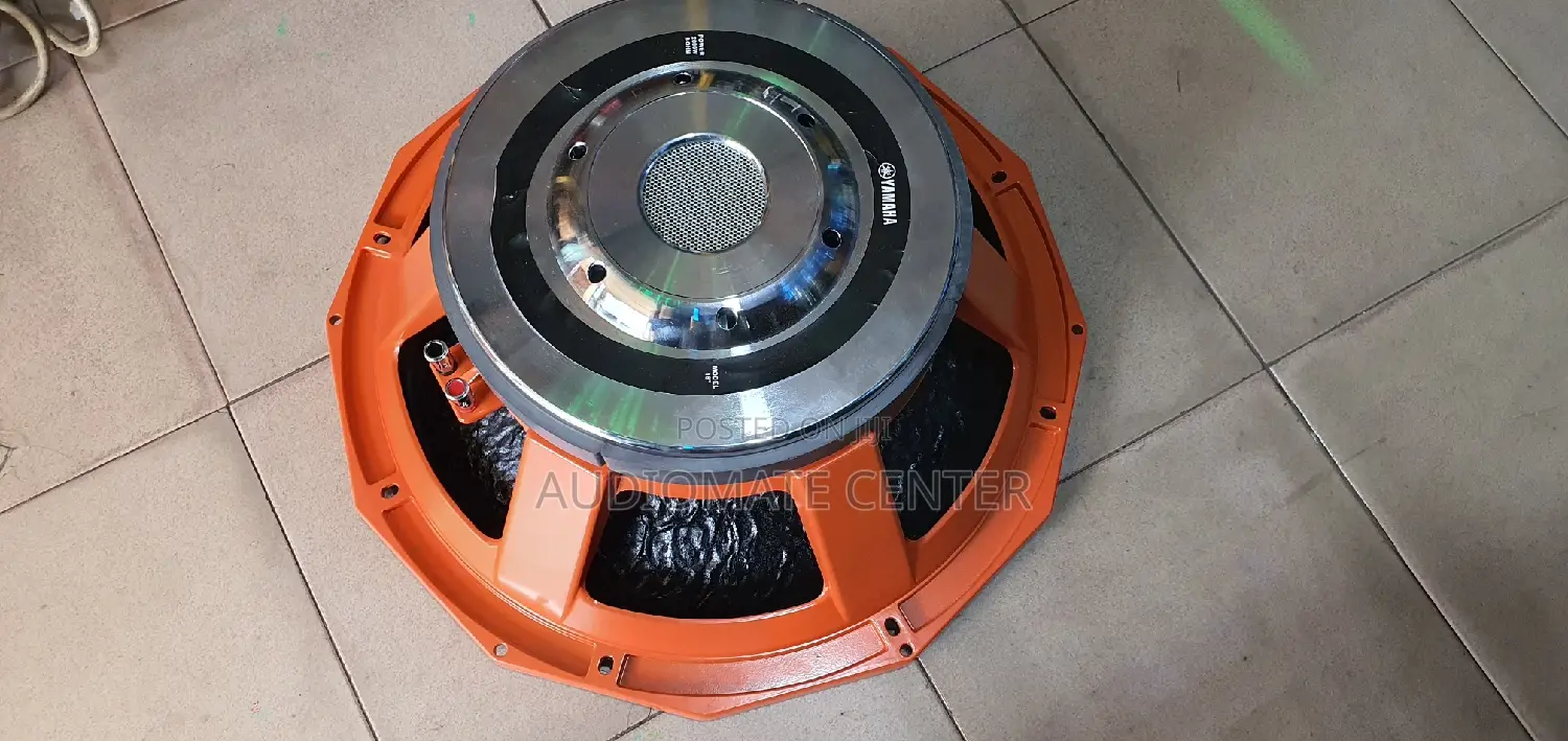Yamaha 18 Naked Speaker
