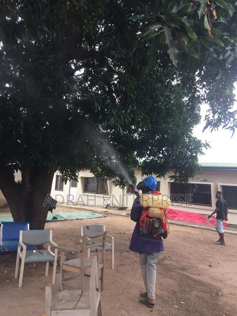 Professional Replites Fumigation Service
