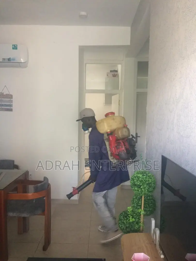 Bedbugs Pest Control Service Available Now
