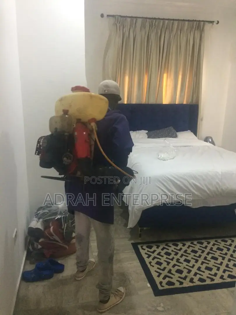 Bedbugs Pest Control Service Available Now