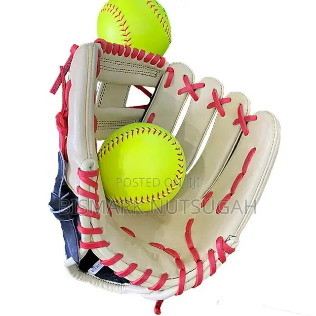 Baseball Bats Gloves for Sale