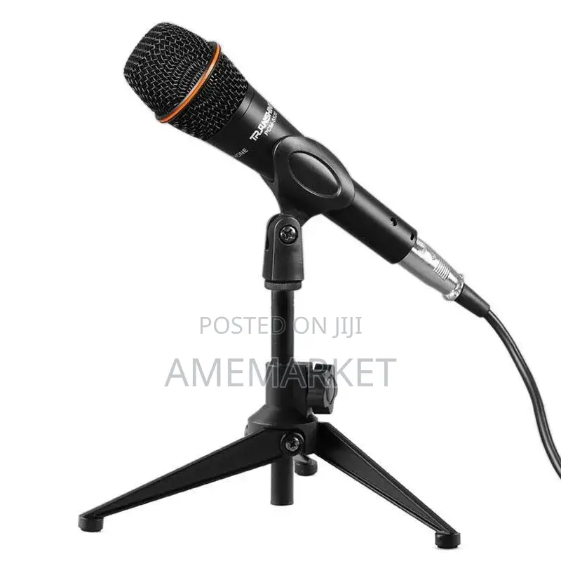 E300 Condenser Microphone With Stand.
