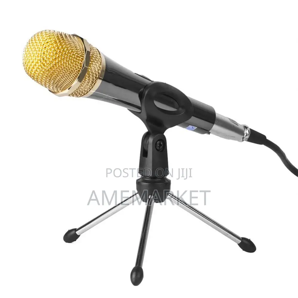E300 Condenser Microphone With Stand.