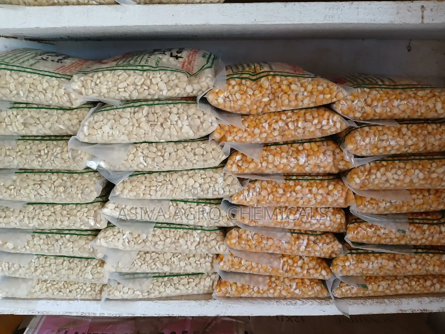 Certified Planting Maize Seeds (Obatanpa, Honampa)