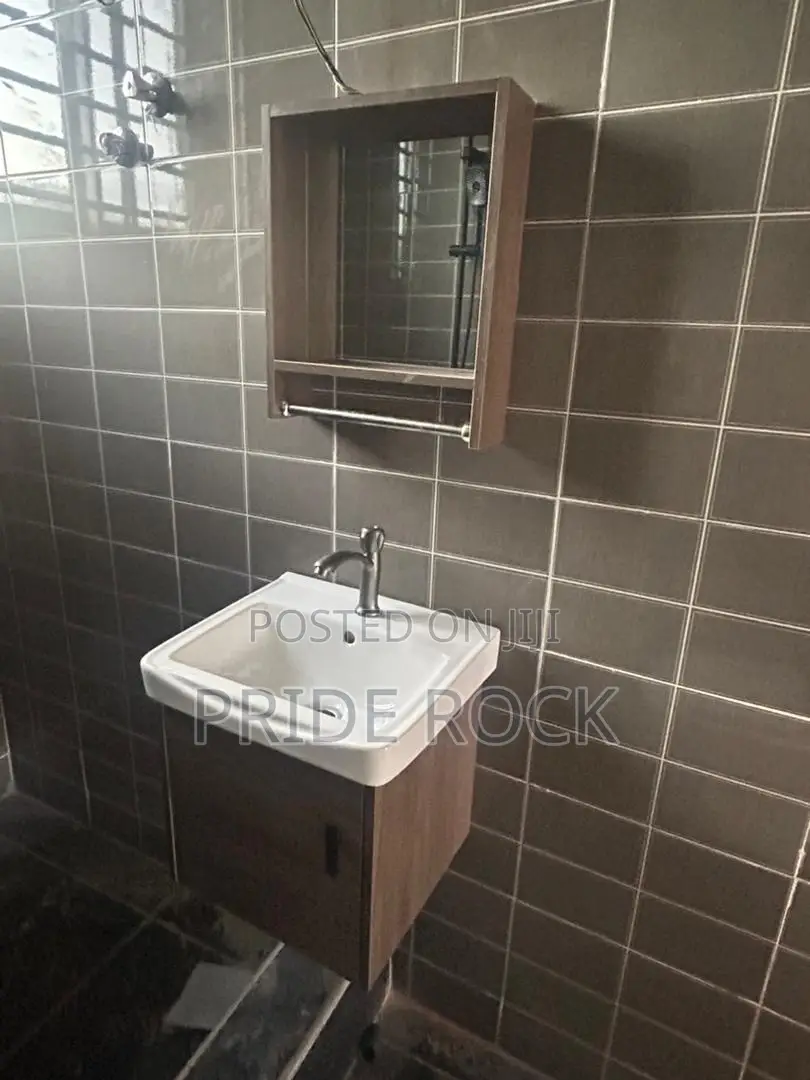 Cabinet Basin With Mirror,Shelf, Tap and Flexible Trap