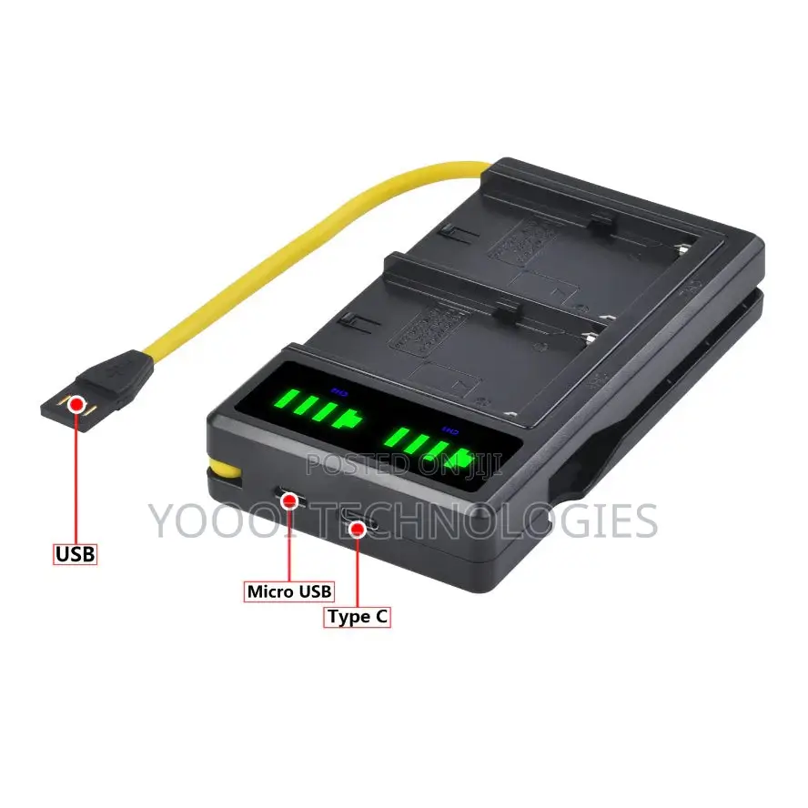 Dual Sony NPF Battery Charger