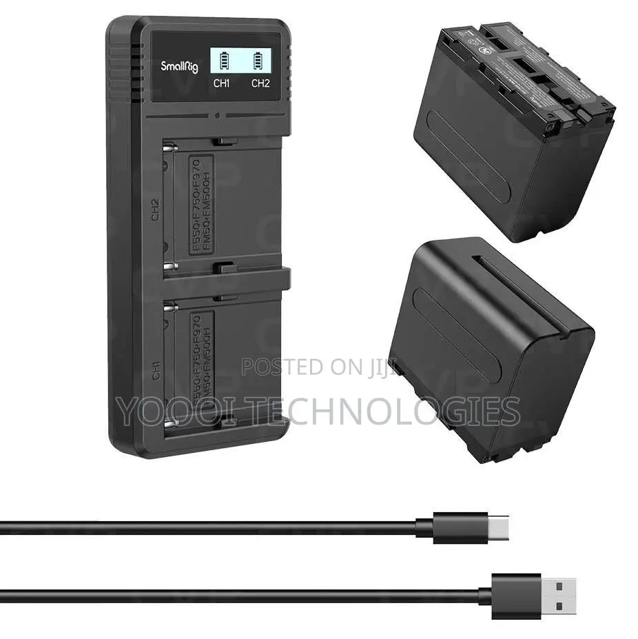 Dual Sony NPF Battery Charger