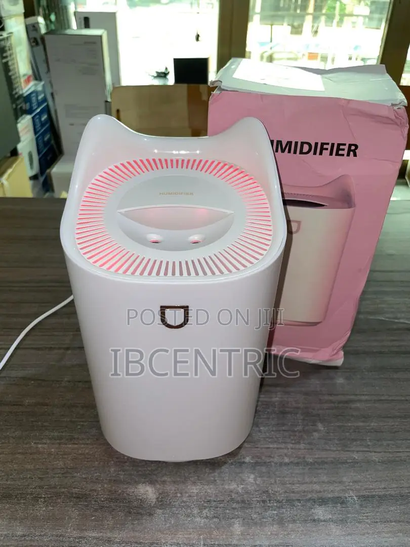 3000ML Double Nozzle Humidifier