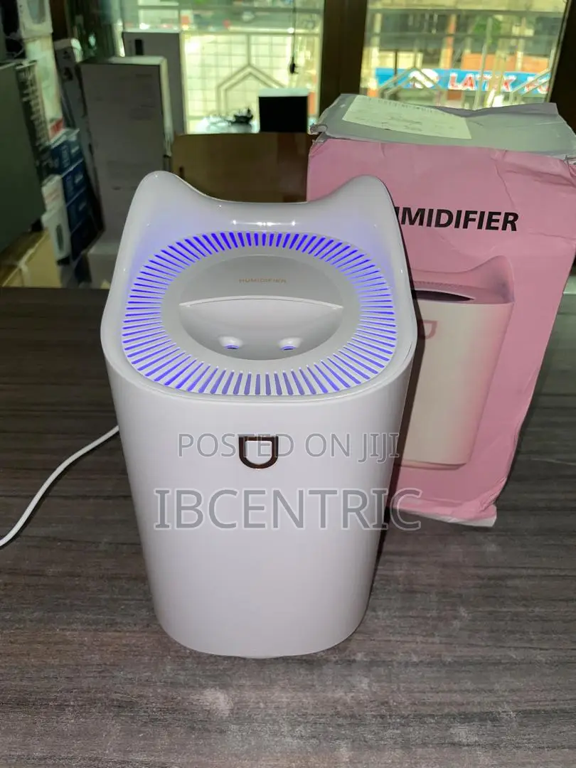 3000ML Double Nozzle Humidifier