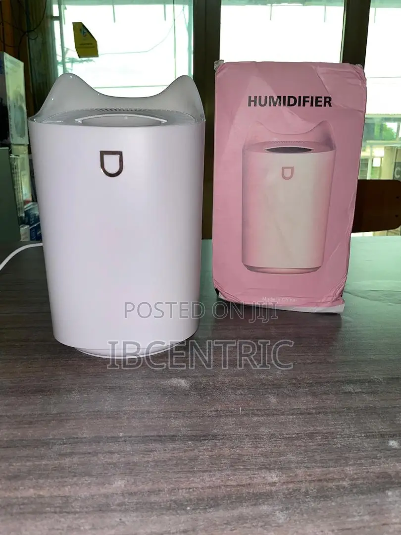 3000ML Double Nozzle Humidifier