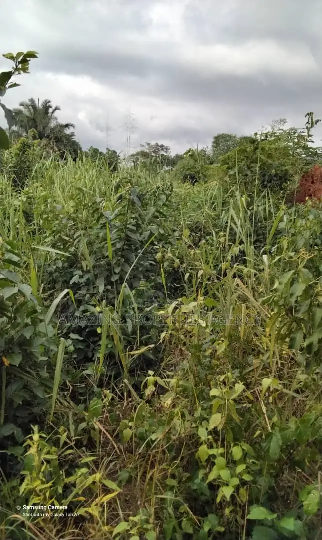20 Acres Beachfront Land at Sakumono
