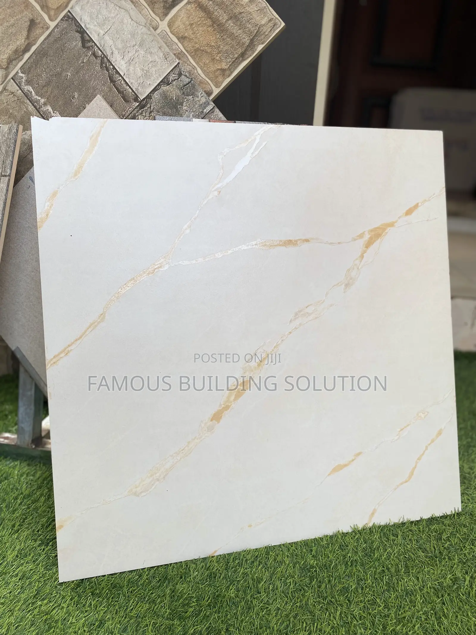 Made in India 60/60 Rustic Tiles (Rough Tile )