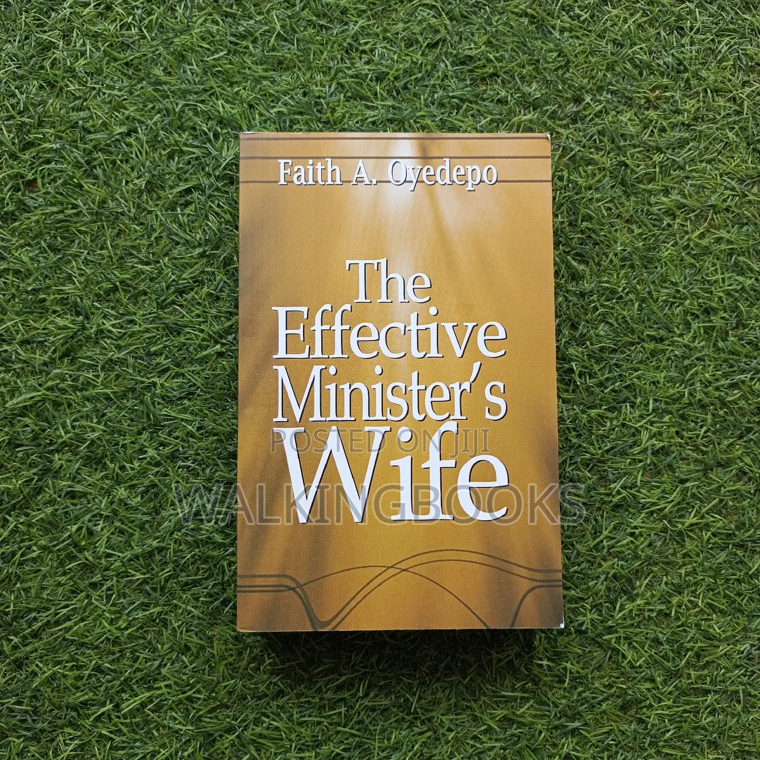 The Effective Minister's Wife Faith Oyedepo