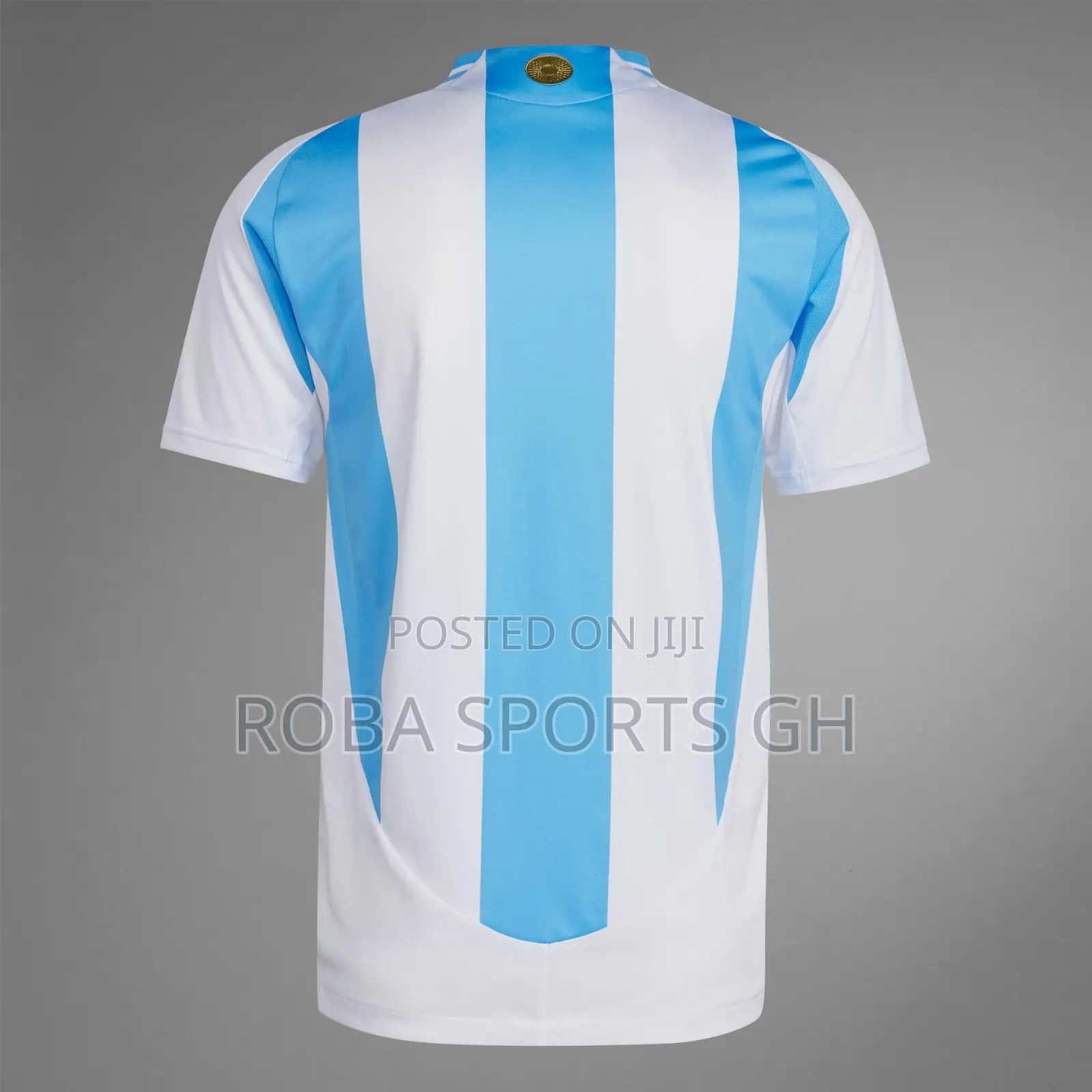 2024/25 Argentina Home Jersey