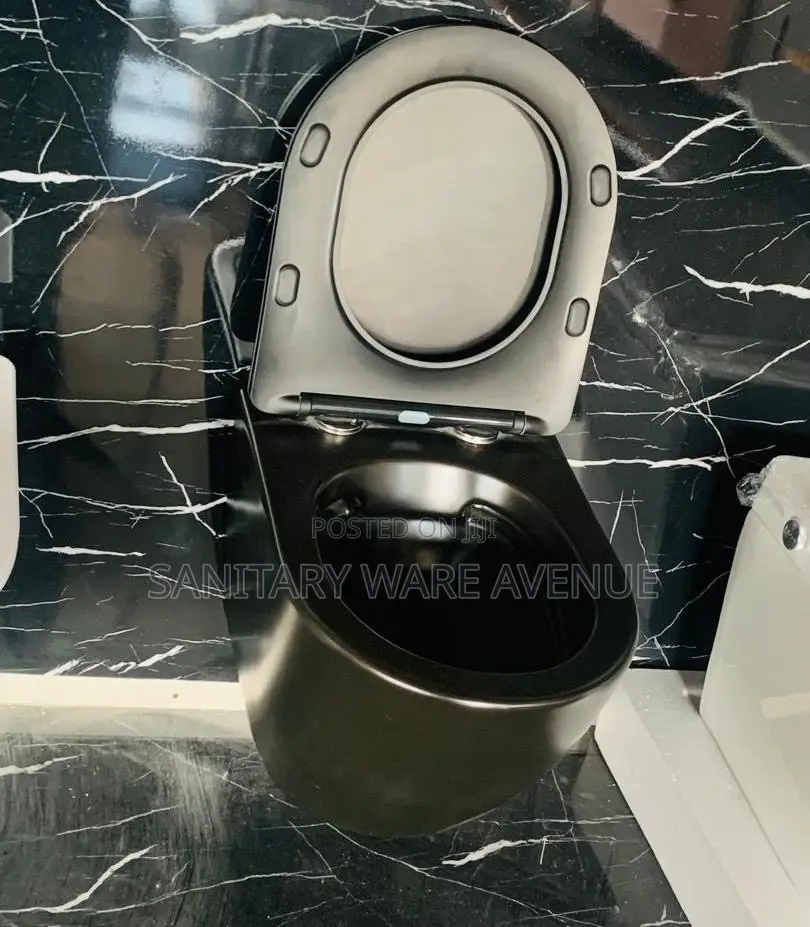 Concealed Water Closet - Black WC - Wall Hung Toilet