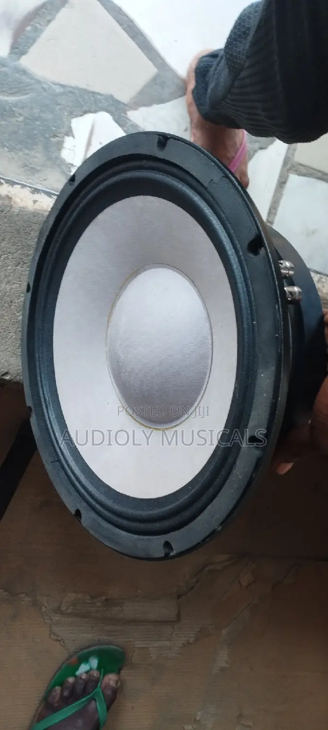 Fane 12inches Double Magnet Naked Speaker