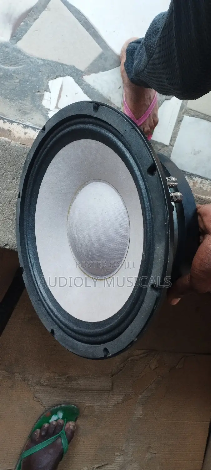 Fane 12inches Double Magnet Naked Speaker