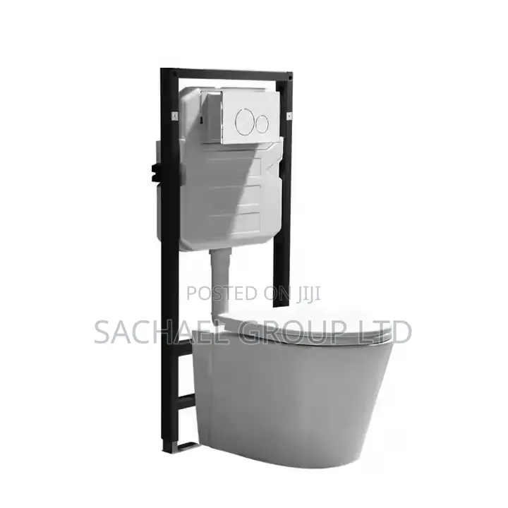 Wall-Mounted Water Closet