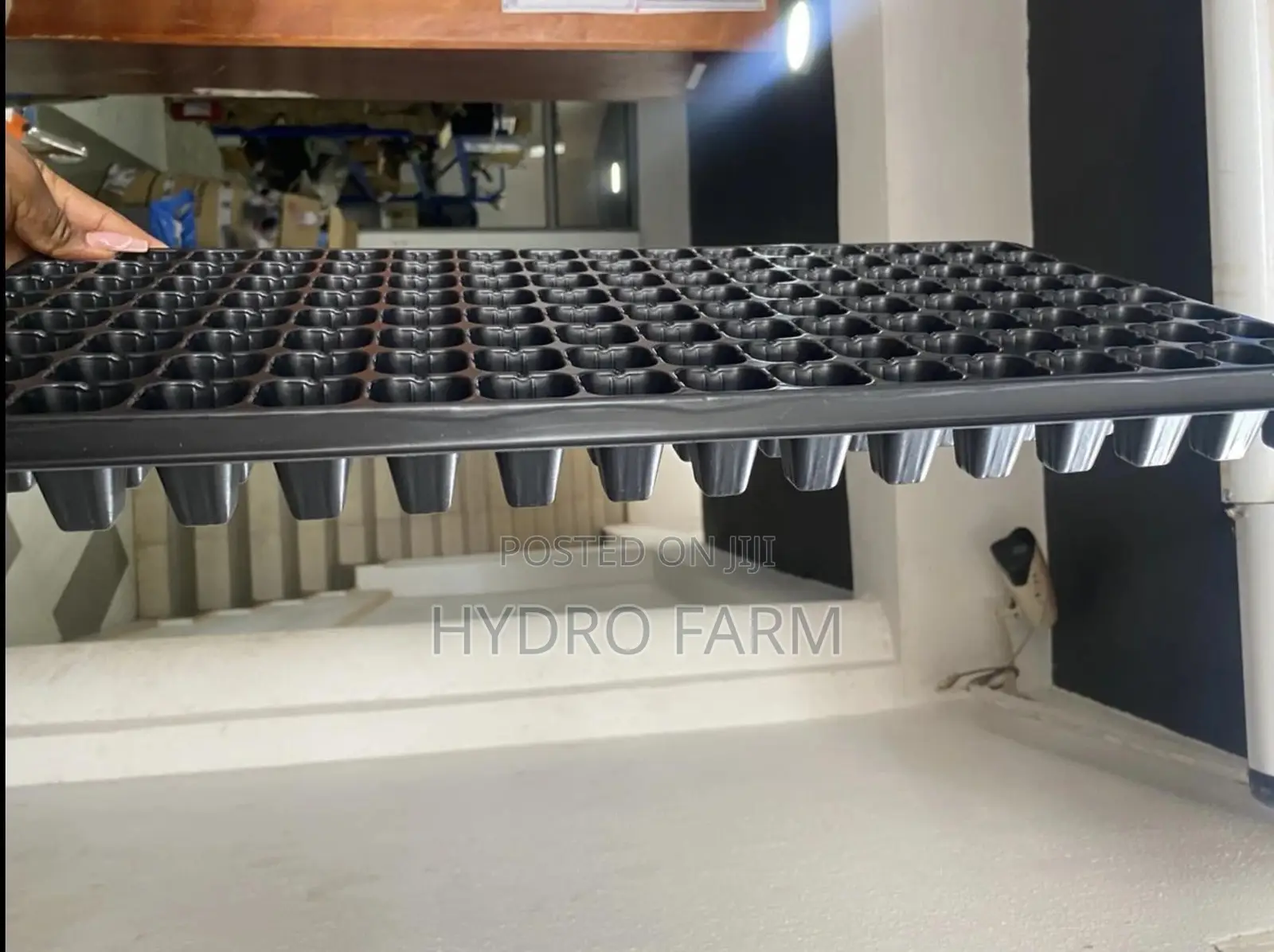 72 Holes Seed Tray/ Seedling Trays