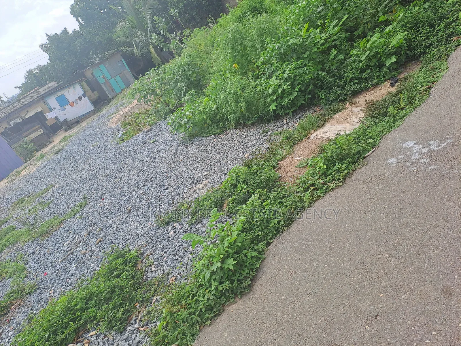 Land Forsale -Tesano