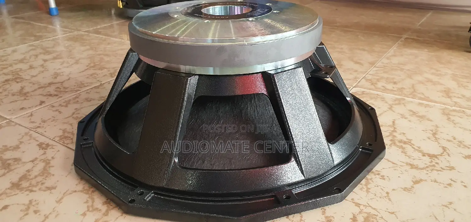 RMW PD 18 Naked Speaker