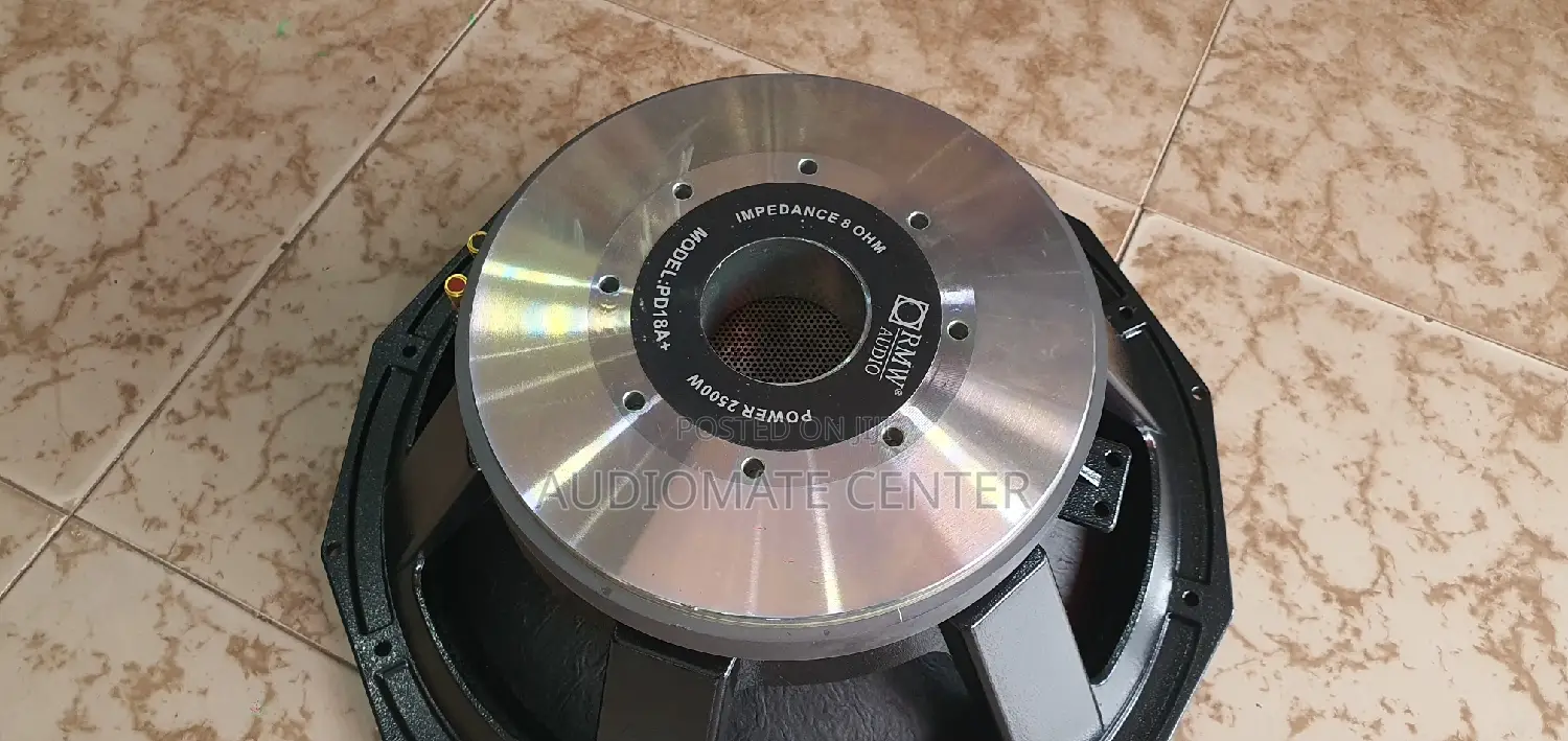 RMW PD 18 Naked Speaker