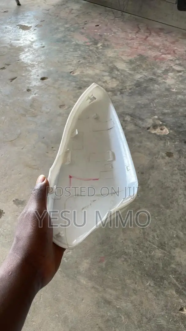 Hyundai Elantra 2016 Side Mirror Cover