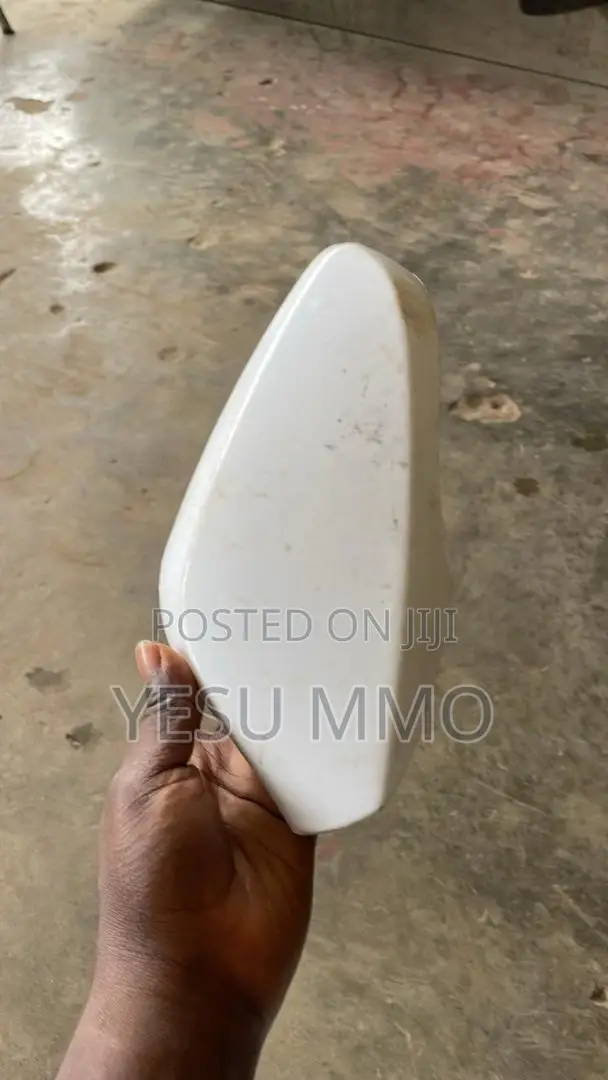 Hyundai Elantra 2016 Side Mirror Cover