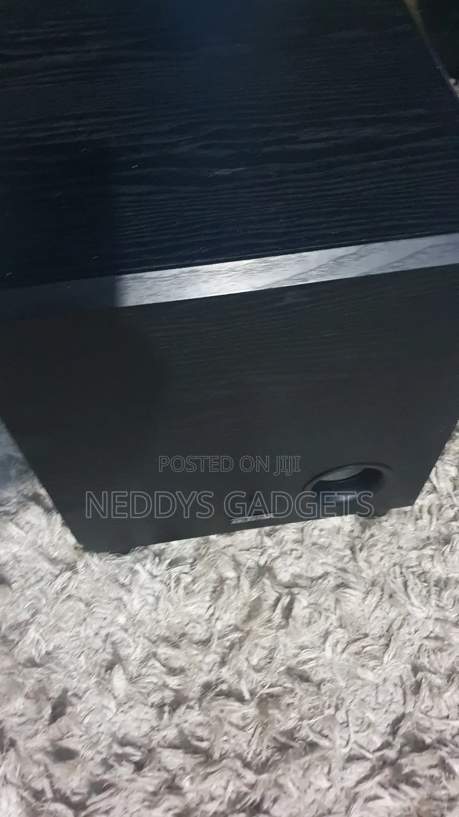 Celestron SIL Subwoofer