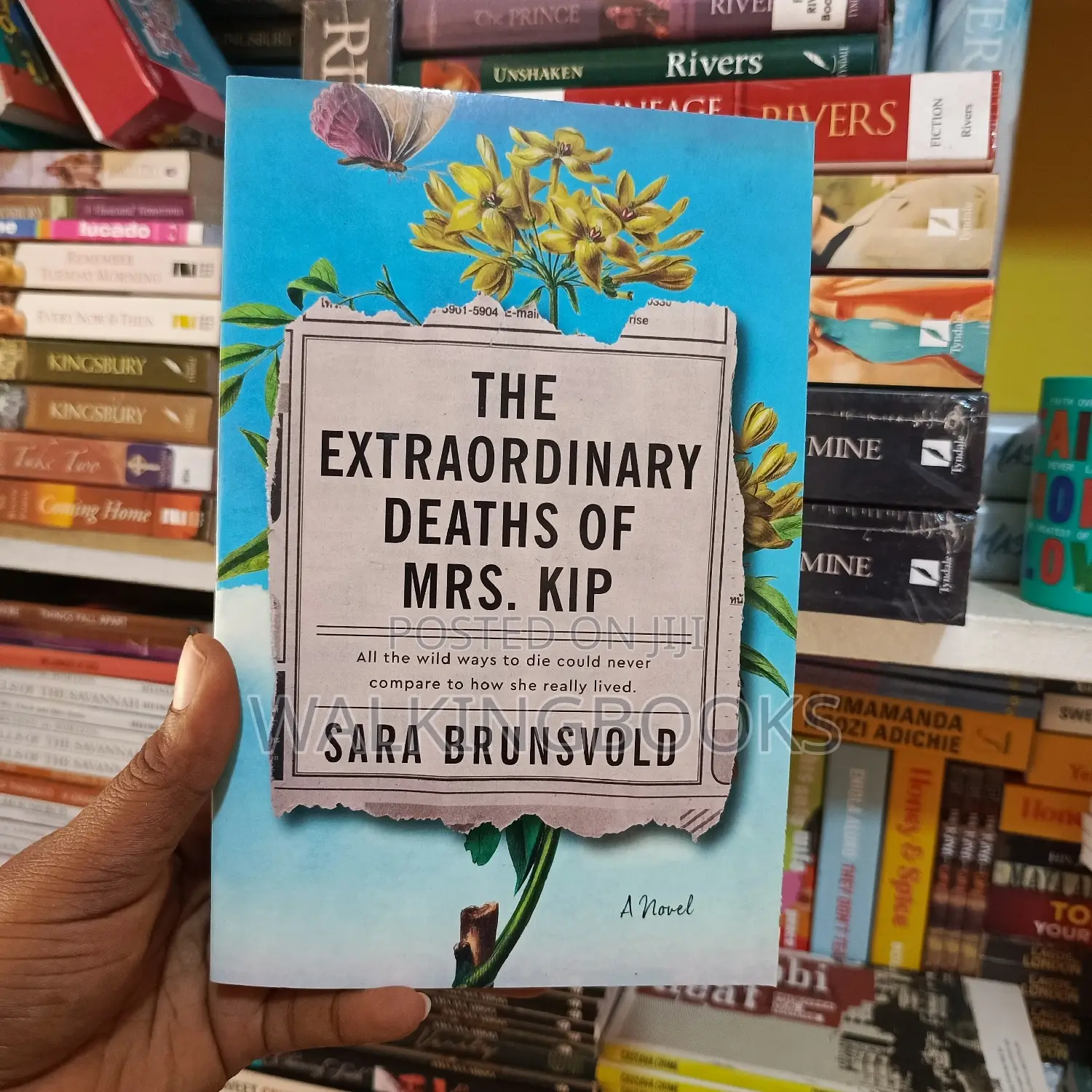The Extraordinary Deaths of Mrs. Kip: A Novel