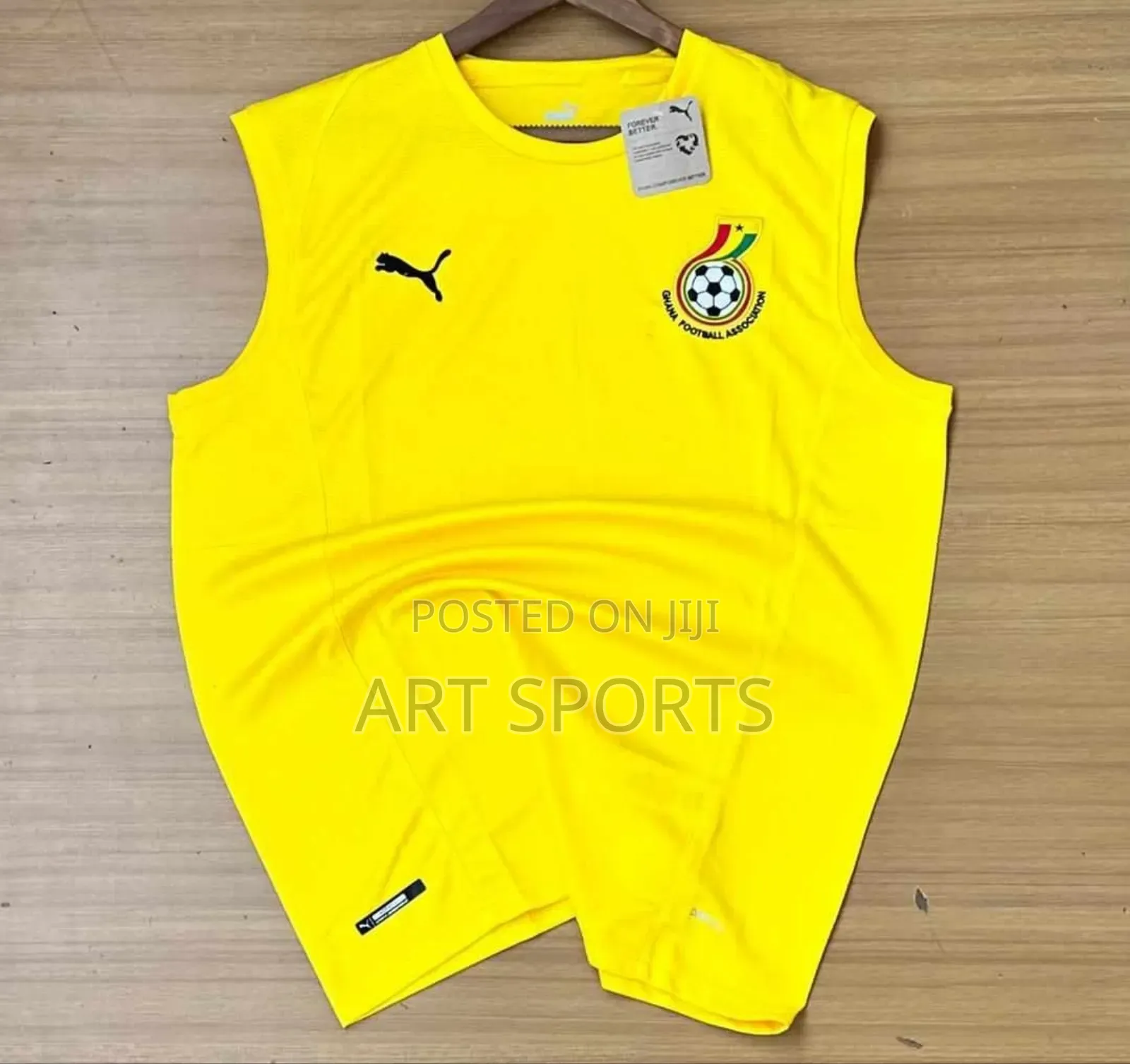 Ghana Blackstar Puma Training Kit