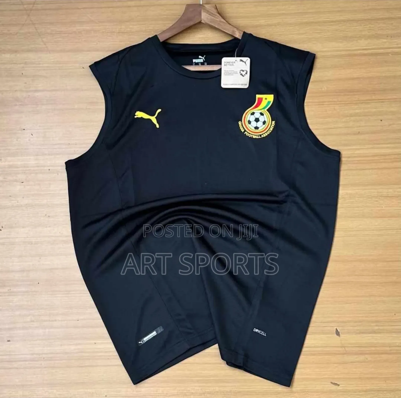 Ghana Blackstar Puma Training Kit