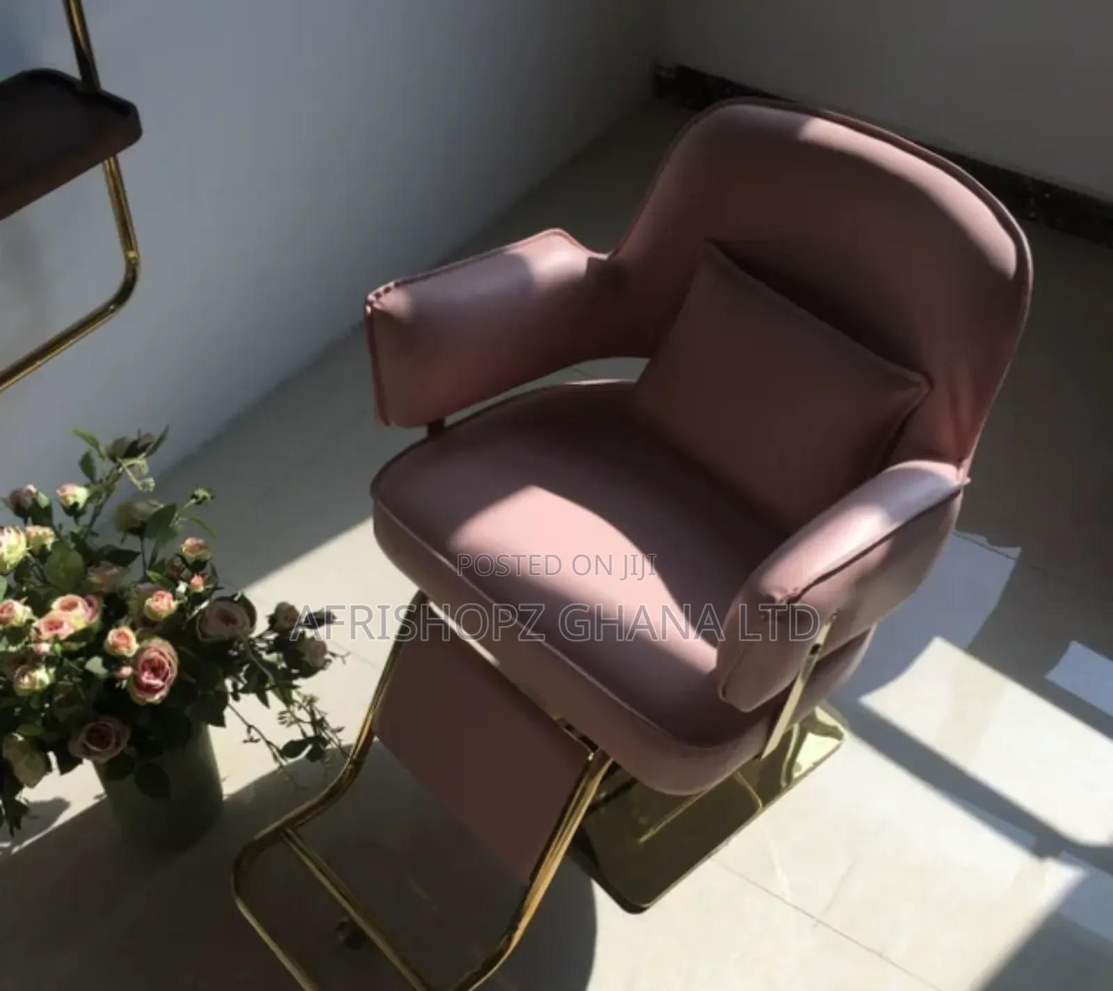 Salon Chairs