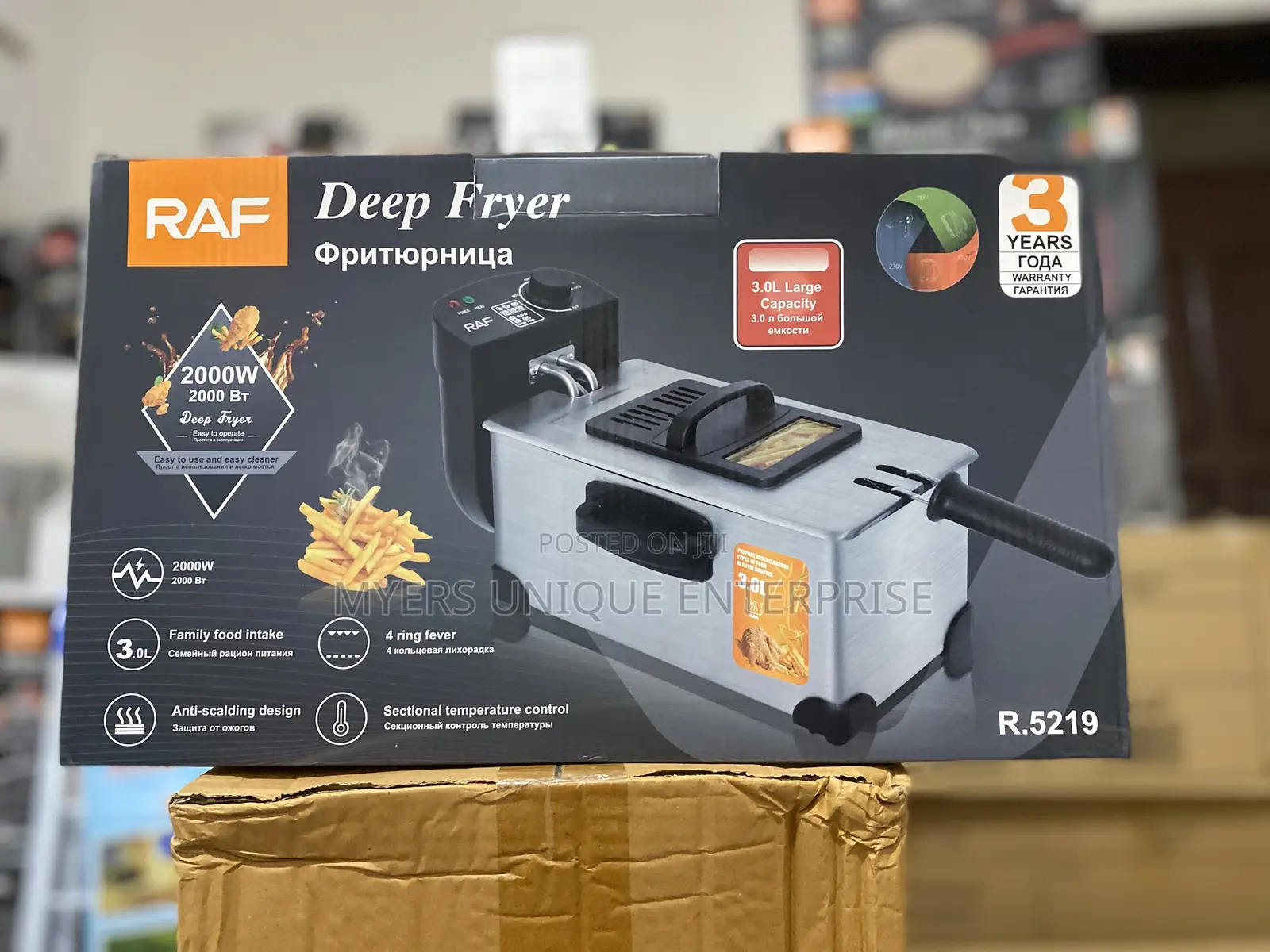 2000W Deep Fryer (3L)