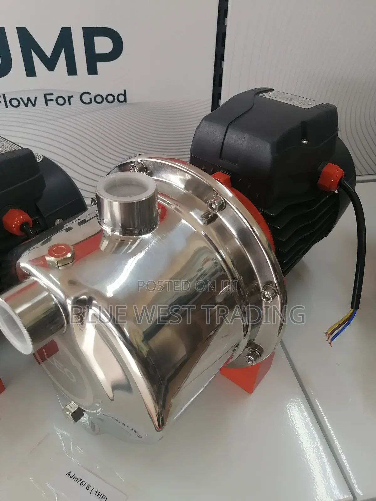 1 Horse Power Stainless Water Pump - Leo Water Pump 1hp