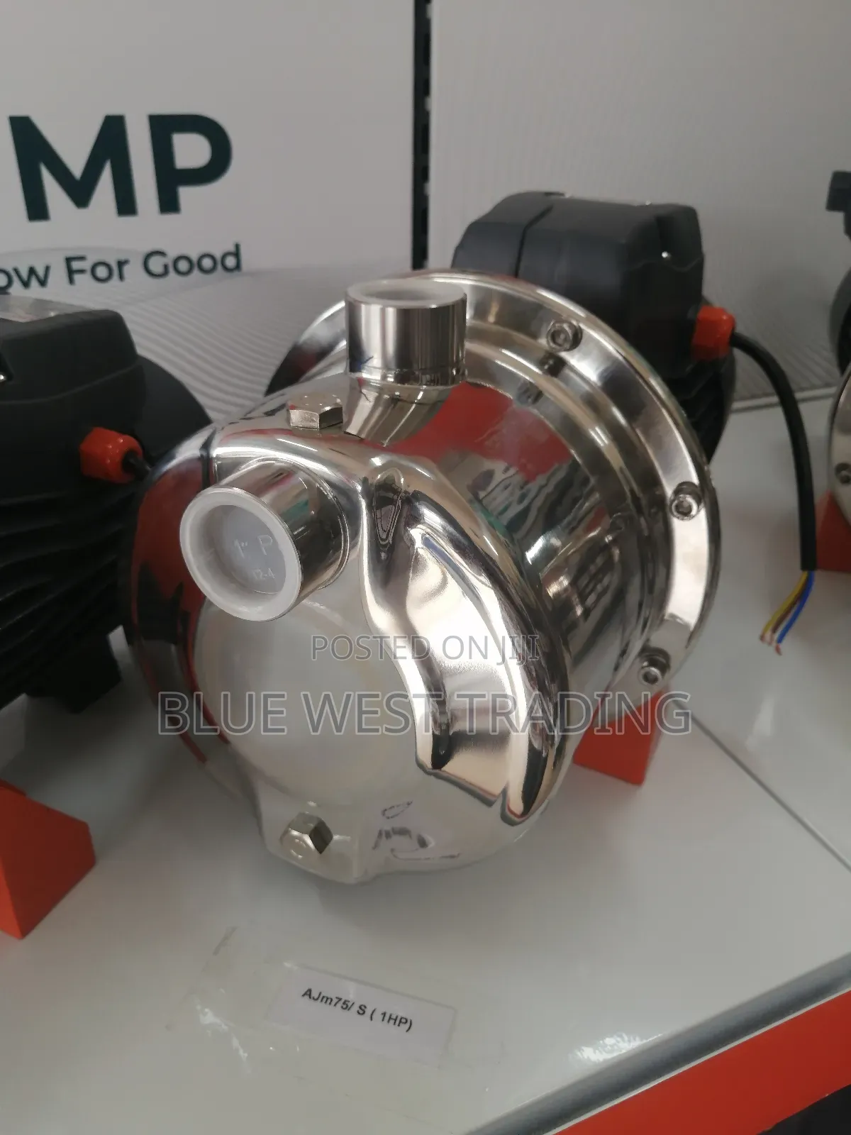 1 Horse Power Stainless Water Pump - Leo Water Pump 1hp