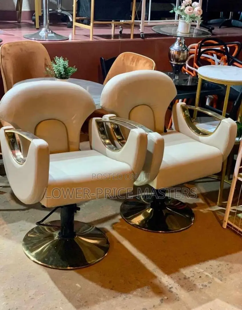 Modern Saloon Chair