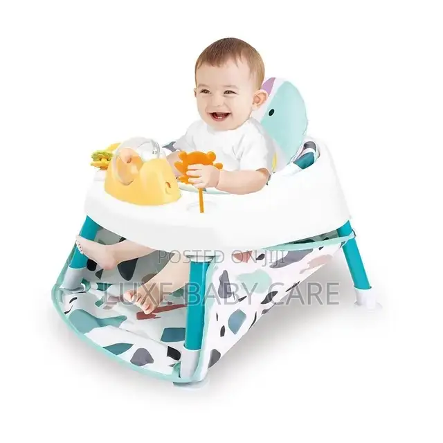 Baby Chair and Baby Jumperoo 2 in 1