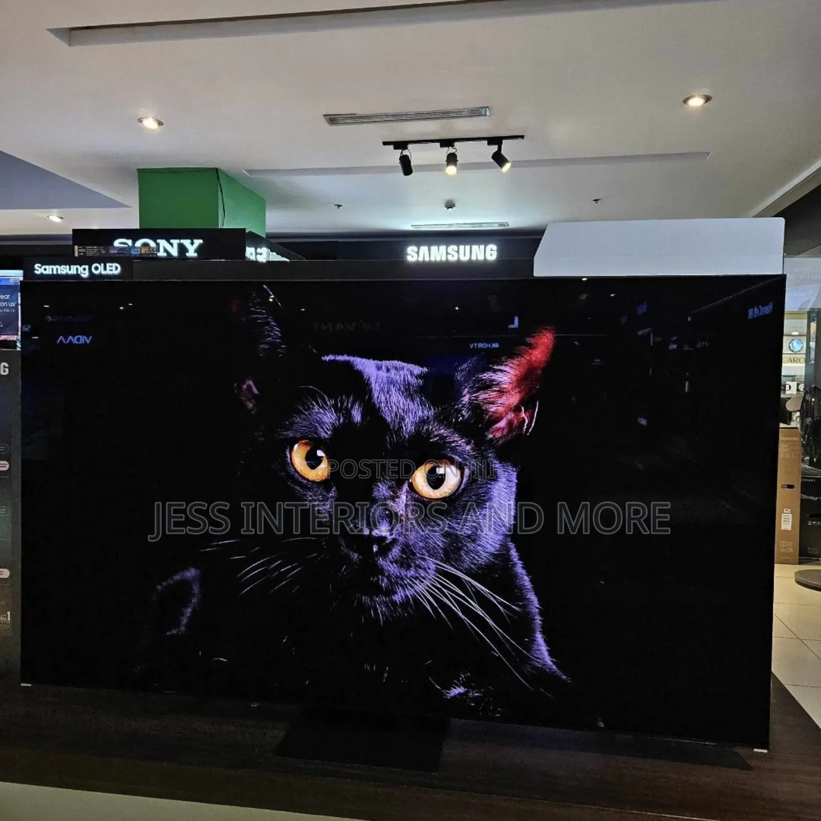 Samsung S95C 77 Inch HDR Quantum Dot OLED Smart TV (2023)