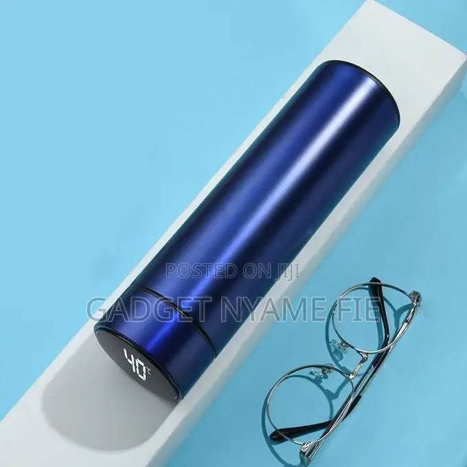 Stainless Steel Smart LED Temperature Display Flask