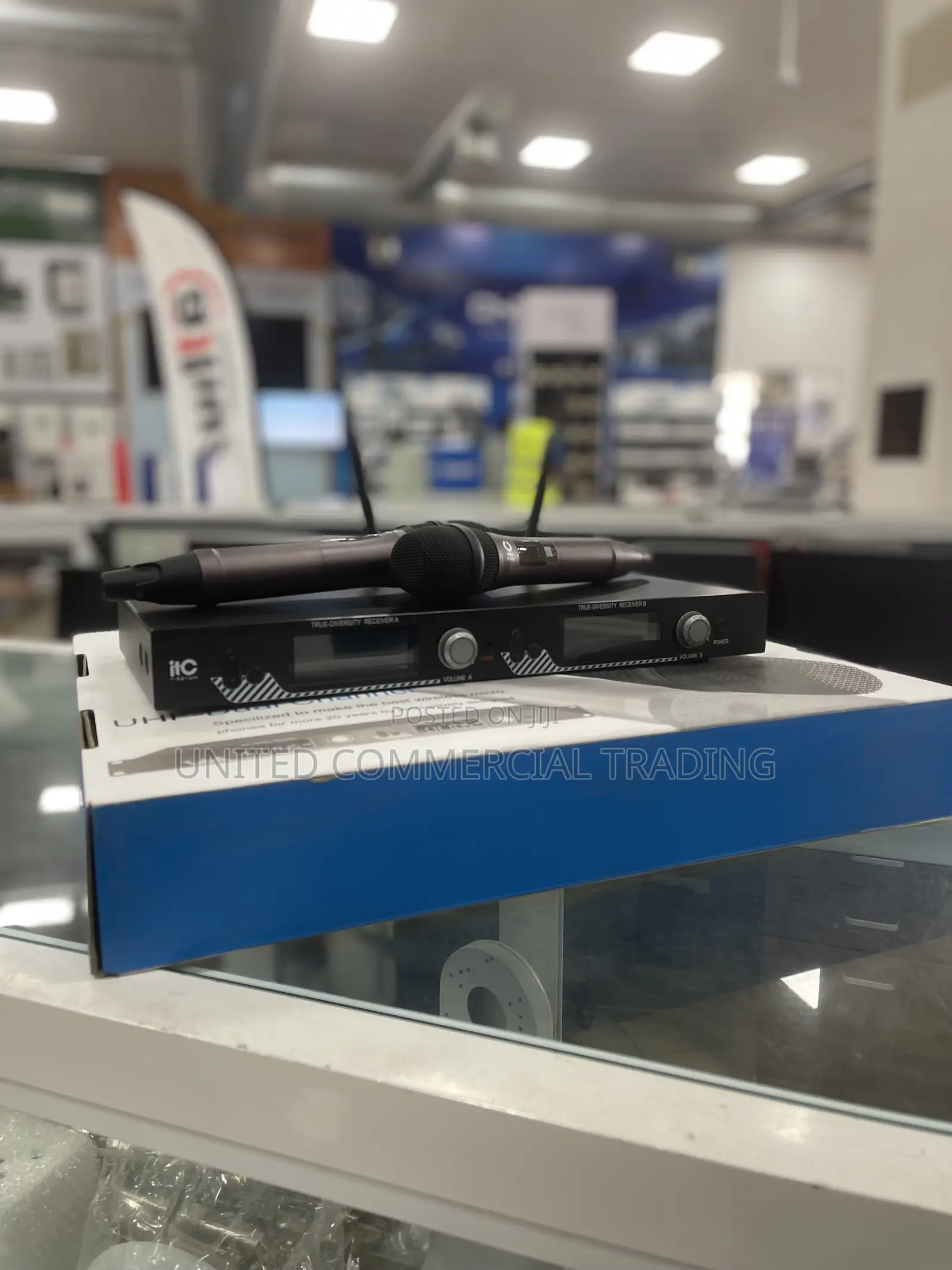 Professional Wireless Microphone