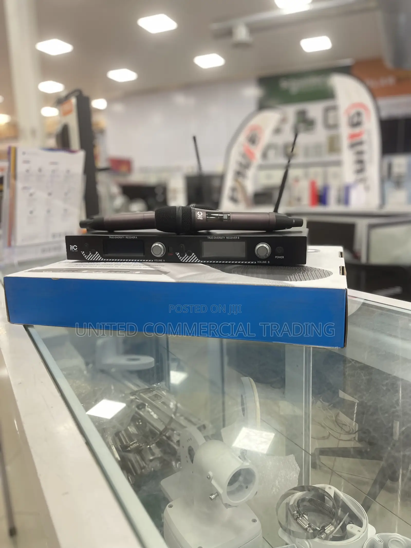 Professional Wireless Microphone