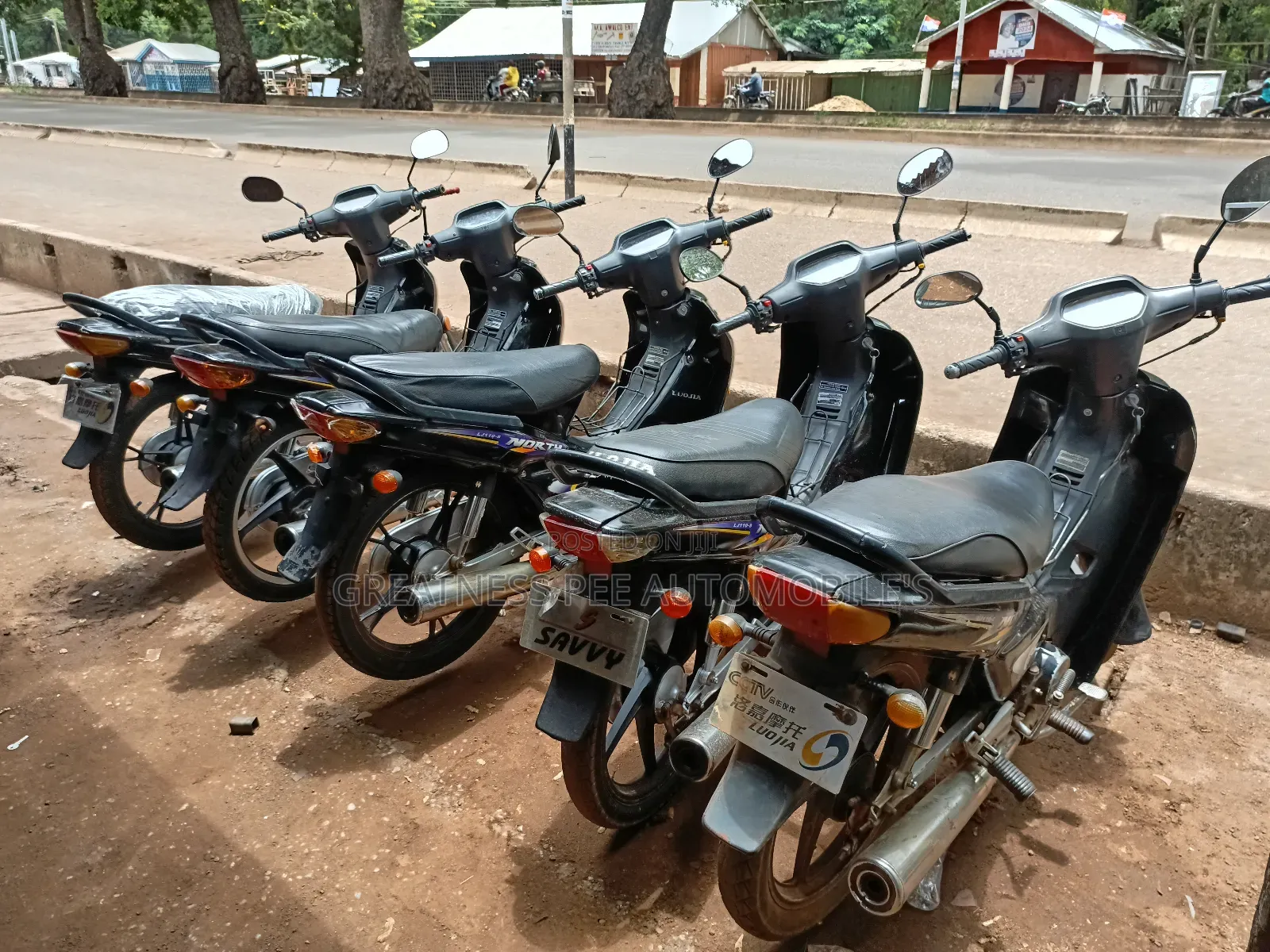Luojia 110cc 2017