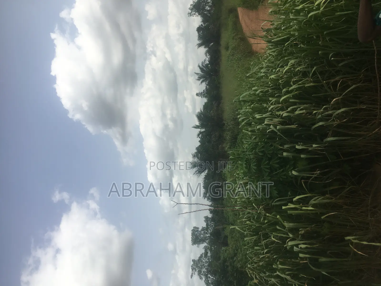 Farm Land for Sale at Kumasi Afigyase Ntomkumso
