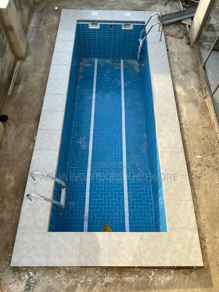 Swimming Pool Ladder