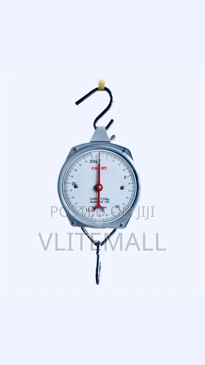 Camry Hanging Scale 100kg