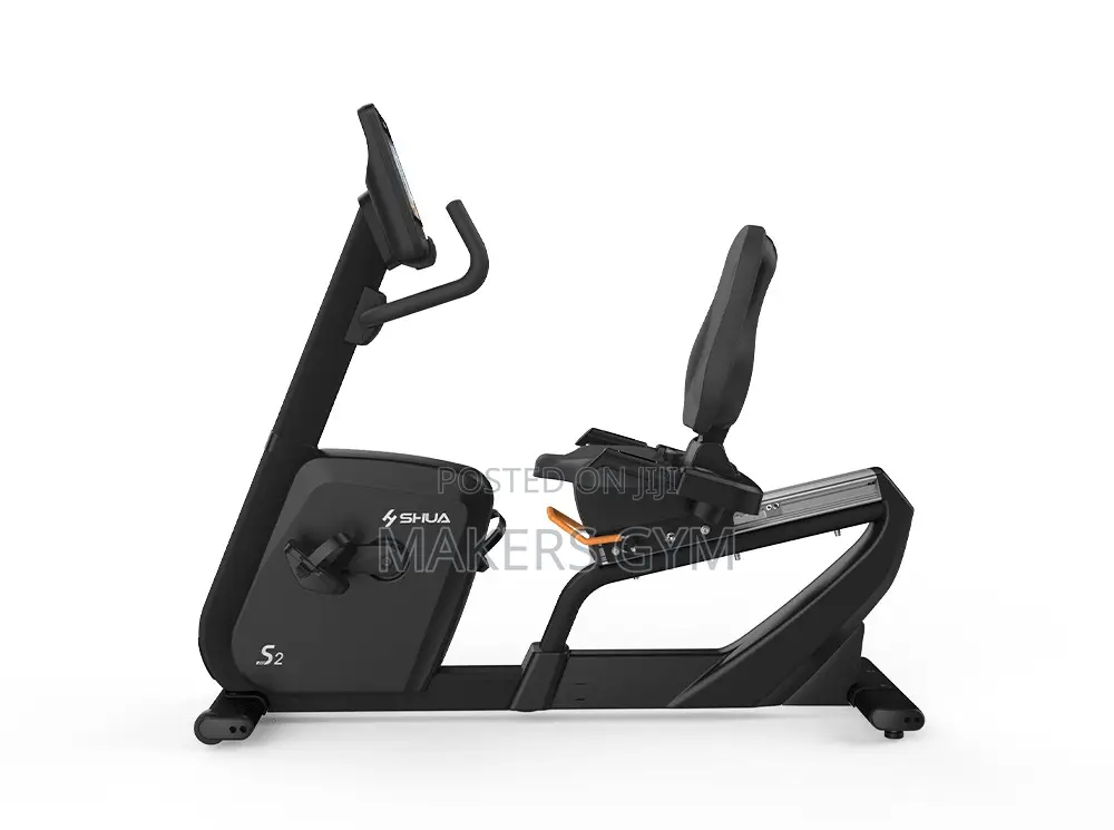 Recumbent Bike (Commercial )