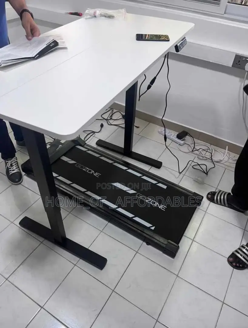 48”X24” Modern Electric Adjustable Height Office Table