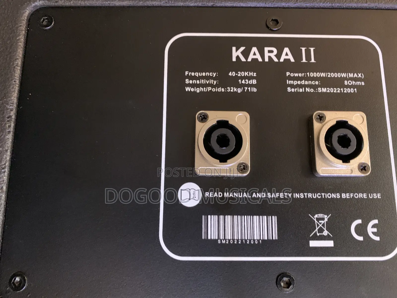 Kara-2 10inch Dual Line Array Speaker(Pair)
