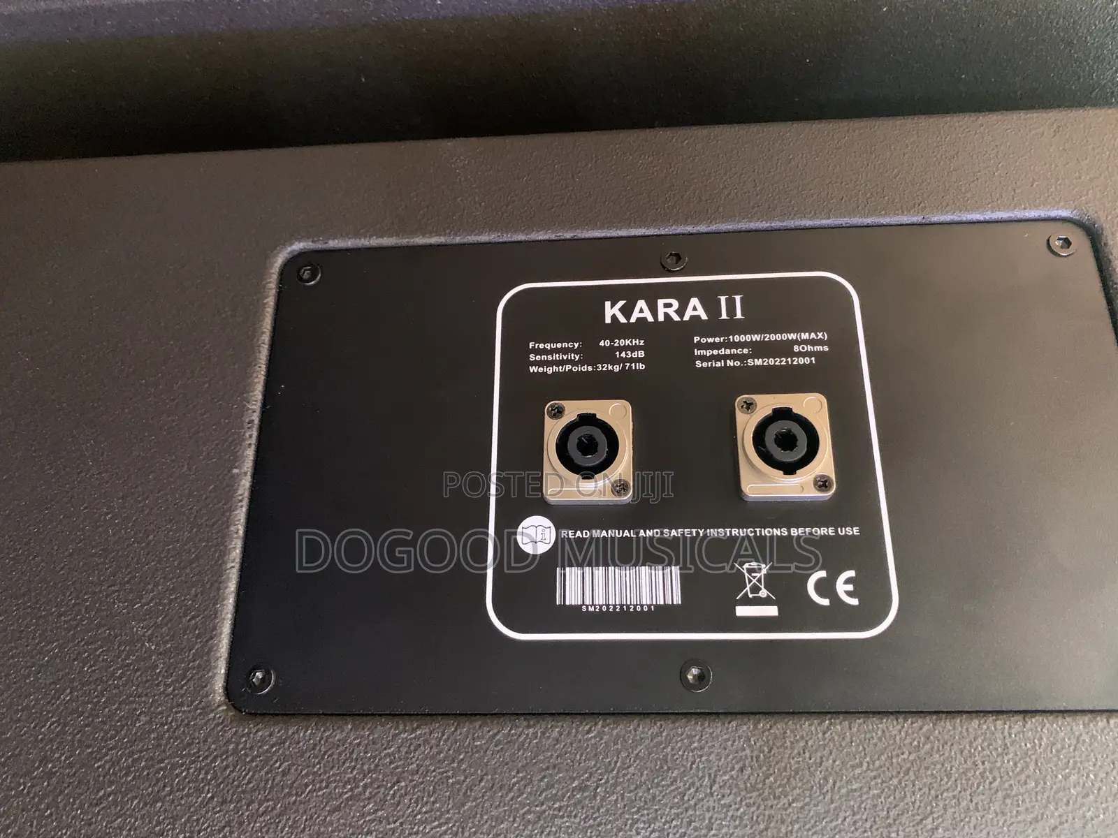 Kara-2 10inch Dual Line Array Speaker(Pair)